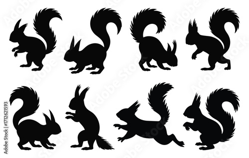 Set of squirrel silhouettes. isolated vector on white background.