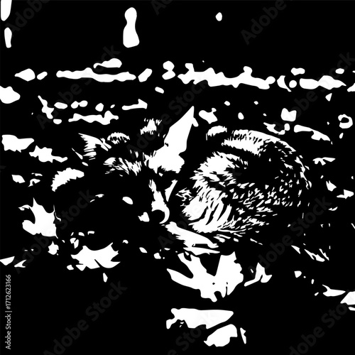 Stylized Black and White Illustration of a Sleeping Fox
