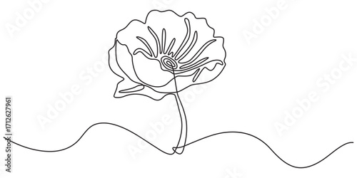 PrintPoppy, Remembrance Day or Veterans Day Continuous Line Drawing with Editable Stroke and Copy Space, poppy flower continuous one line drawing