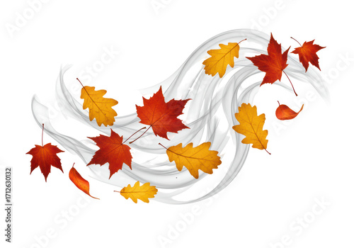 Isolated Fall leaves and wind swirling across a white surface in autumn season design