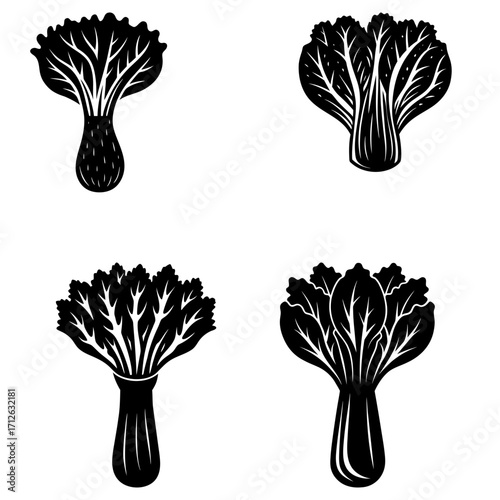 Illustration of four black and white bok choy plants with detailed leaves and stems on a white background