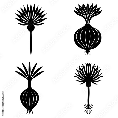 Four stylized black plants with spiky leaves and bulbous roots on a white background are presented here