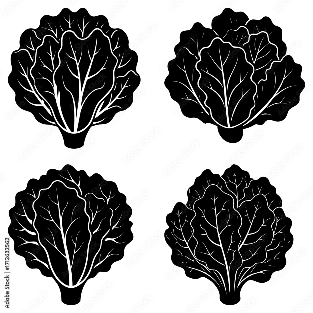 Fototapeta premium Four black and white stylized lettuce heads with detailed leaf veins arranged in a square format design