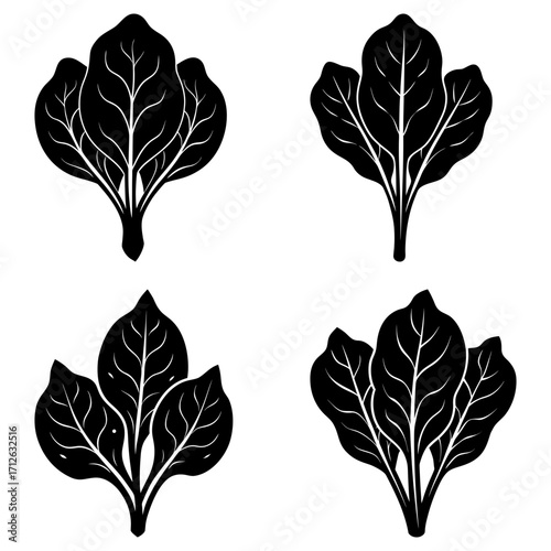 Four stylized spinach plant illustrations with detailed leaf veins in black and white design format