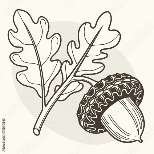 Illustration of an acorn and oak leaves in a hand drawn style