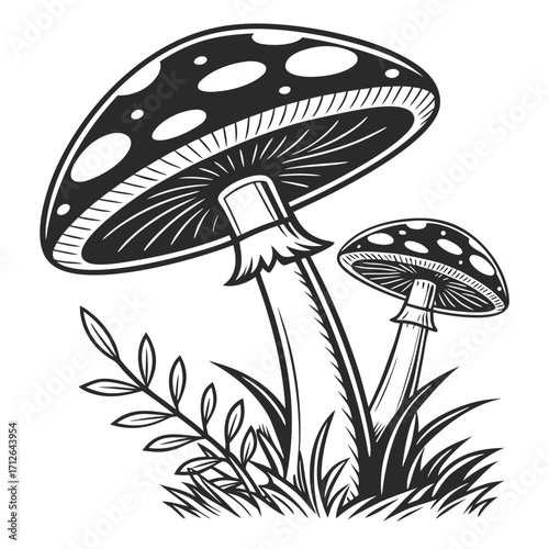 Vector art of two poisonous toadstools with white spots growing in the grass