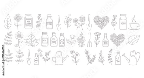 Herbs and Botanicals Line Icons Set  Flowers Leaves Jars Teas Garden Elements Vector Illustration