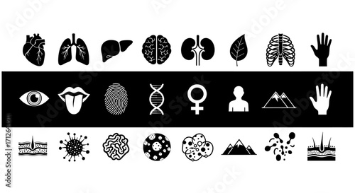 Human Body Icons Set  Organs DNA Fingerprint Skin and Nature Elements in Black and White