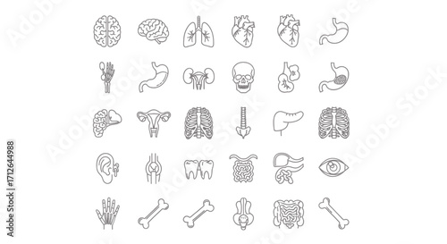 Human Organ System Icon Set  Brain Heart Lungs Stomach Liver Kidneys and Other Body Parts Illustration