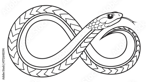 snake vector illustration