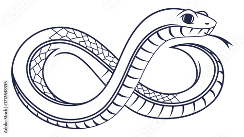 snake vector illustration