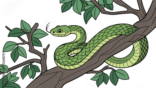 green snake in the forest