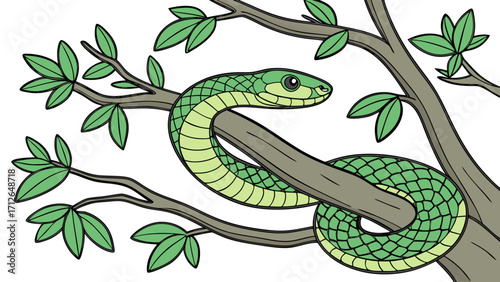 green snake on a branch