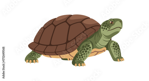 A Detailed Illustration of a Green Tortoise with a Brown Shell