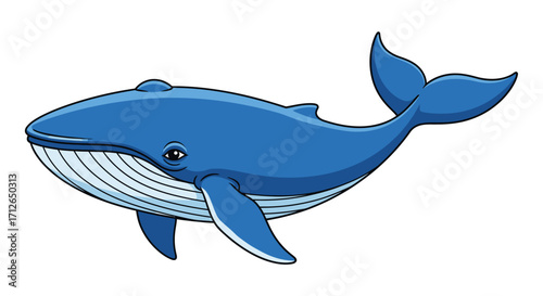 Cartoon Blue Whale with White Stripes on Belly and a Fin Tail