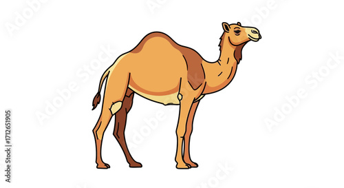 Stylized cartoon dromedary camel with a single hump, standing with a friendly expression and bold black outlines.