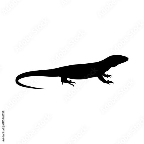 Argentine tegu silhouette vector flat illustration design.