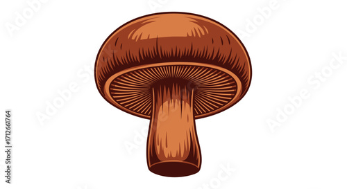 Detailed illustration of a single brown woodland mushroom.