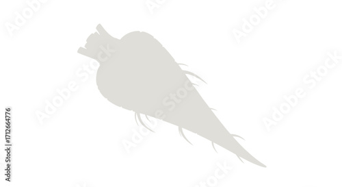 Light gray silhouette of a root vegetable with rootlets.