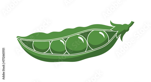 Fresh green pea pod with peas inside isolated on white background.