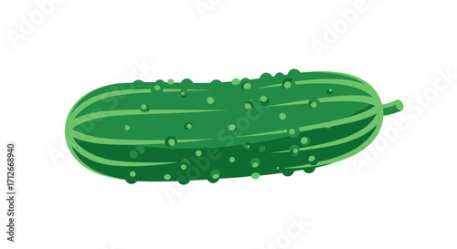 A single fresh green cucumber with bumps isolated.