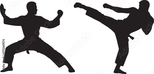 Silhouette of Martial Artists Sparring in Action Pose – Karate, Kickboxing or MMA Training