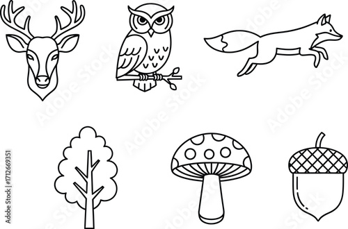 Forest wildlife and nature icons | deer, owl, fox, tree, mushroom and acorn symbols | woodland outline vector illustration.