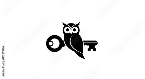 Creative Owl Holding Key Symbolizing Wisdom Knowledge and Security.