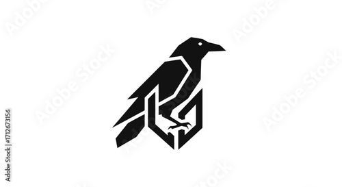 Modern geometric black raven bird logo design.