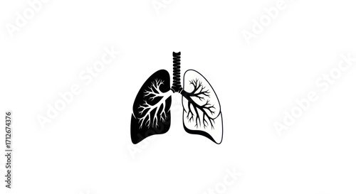 Artistic Black and White Human Lungs Anatomy Illustration.
