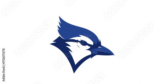 Blue Jay Bird Head Logo Design.