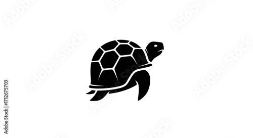 Black silhouette of a turtle with a hexagonal shell pattern.
