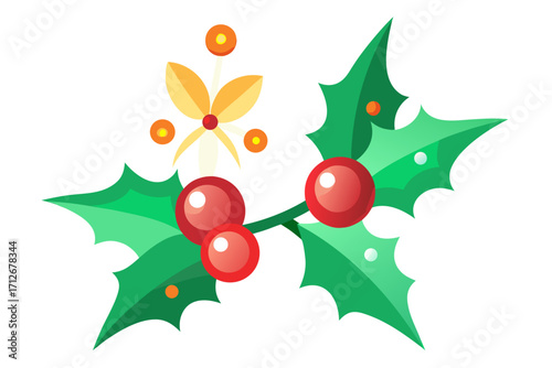 Christmas holly berry vector  on white background