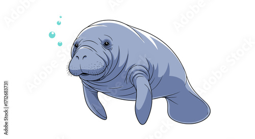 Cute Manatee Swimming Underwater with Bubbles.