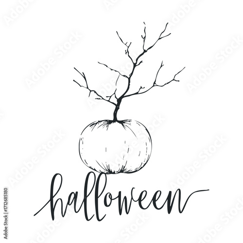 Halloween pumpkin with branch design for seasonal decor. Vector hand drawn illustration