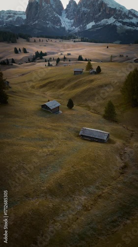 Seiser Alm or Alpe di Siusi, Dolomites Alps, Sassolungo and Sassopiatto mountains, Trentino Alto Adige, South Tyrol, Italy, Europe
