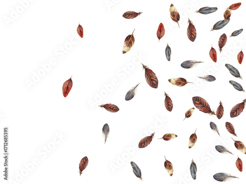 Adobe Illustrator Artwork