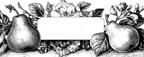 Elegant vintage pear and flower frame banner for decorative design