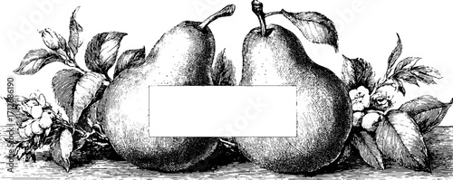 Vintage pears and floral banner design for decorative frames and labels