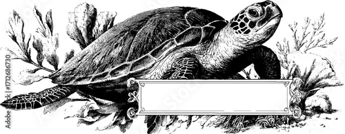 Vintage sea turtle frame design for ocean-themed banner or card
