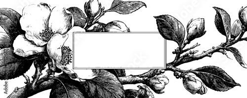 Vintage frame banner with tea leaves illustration for retro design projects