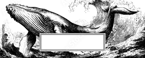 Vintage whale frame banner with ocean waves - retro hand drawn illustration for nautical design