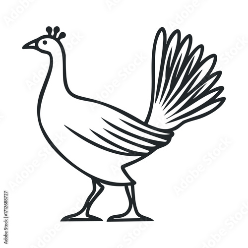 Peacock standing elegantly on a plain background. Vector line illustration