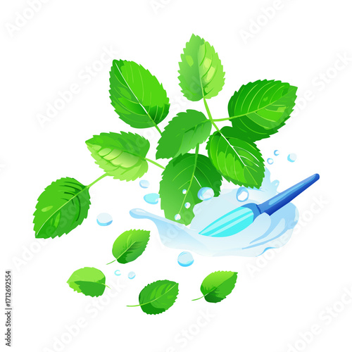 Fresh mint leaves and a blue brush in a splash of water isolated on transparent background