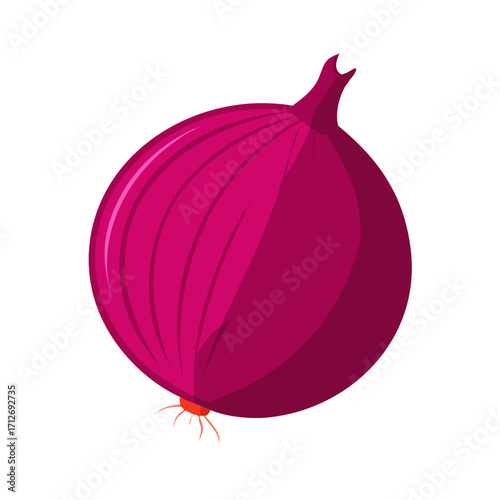 Illustration of a red onion isolated on transparent background