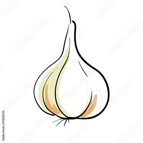 Stylized illustration of a garlic clove isolated on transparent background