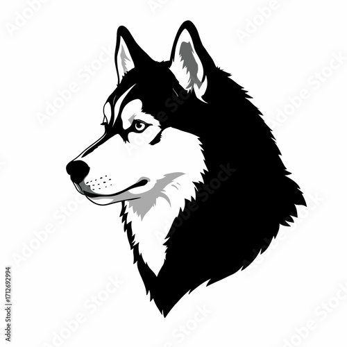 Striking black and white husky dog portrait artistic rendering canine head study isolated on white background