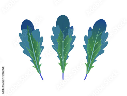 Three stylized green and blue leaves isolated on transparent background