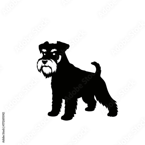 Silhouette of a miniature schnauzer dog standing alert with a distinctive beard and eyebrows isolated on white background