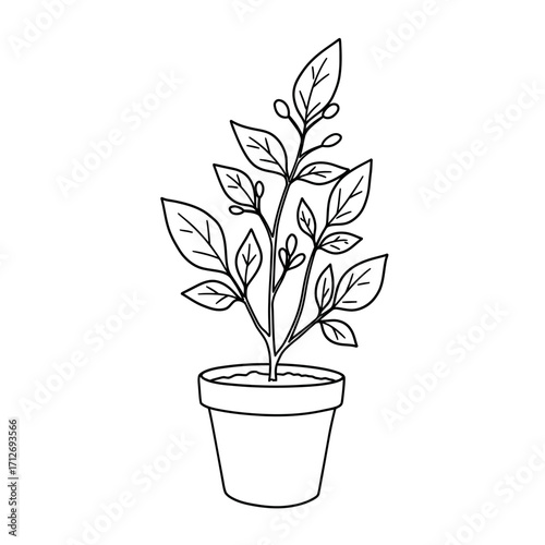 Hand drawn outline of a potted plant with leaves and berries ready for growth and decoration isolated on white background